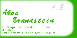 akos brandstein business card
